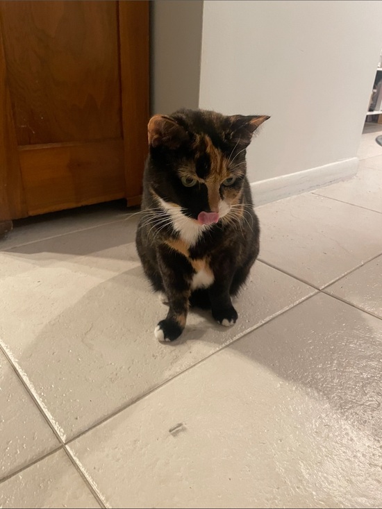 Other - MY Baby Trixie Mattel VET VISIT FUNDS FOR HEALTH